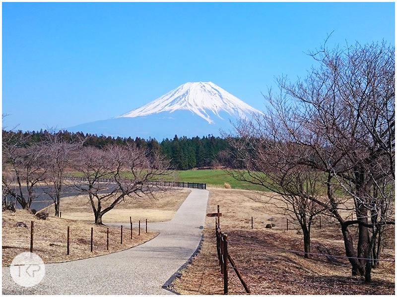 fuji-mountain
